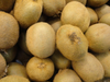 X2kg Kiwi