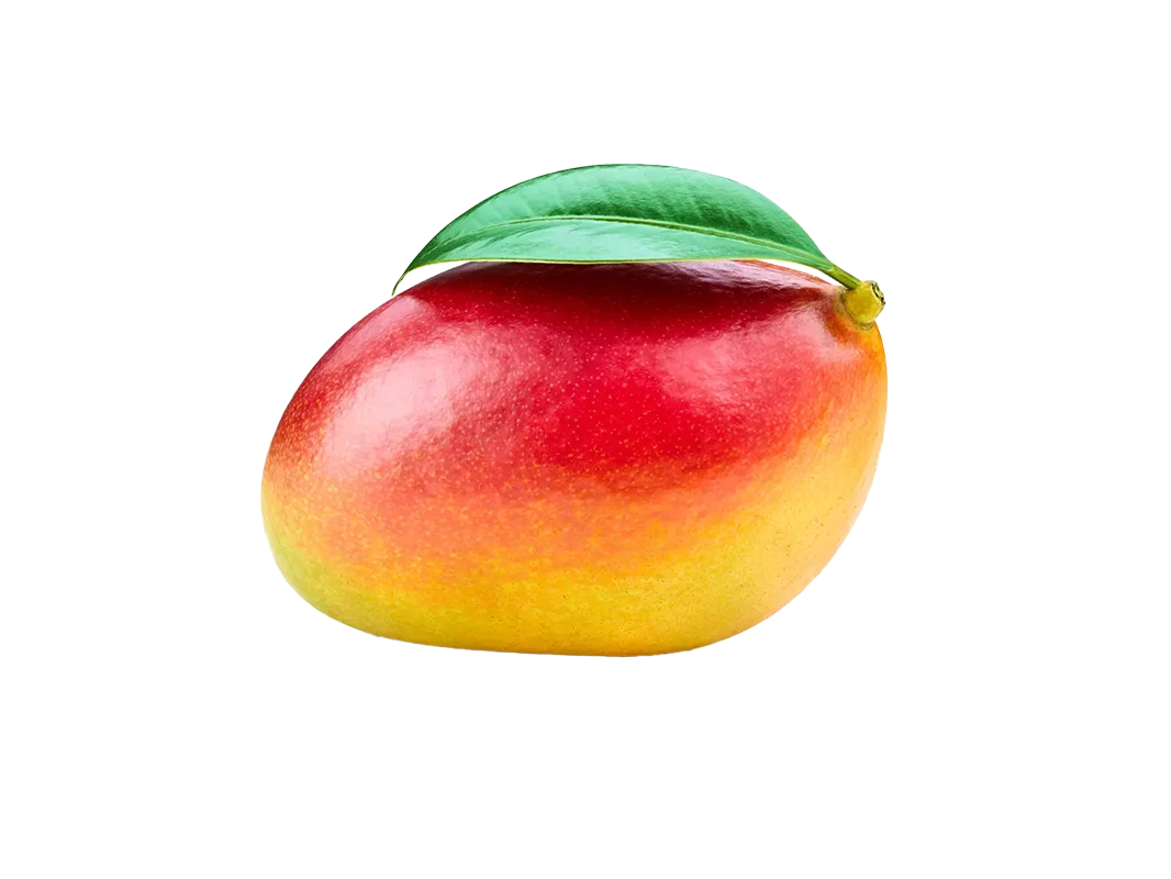 X2 Mangos