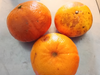 X1kg Mandarina madura con detalles