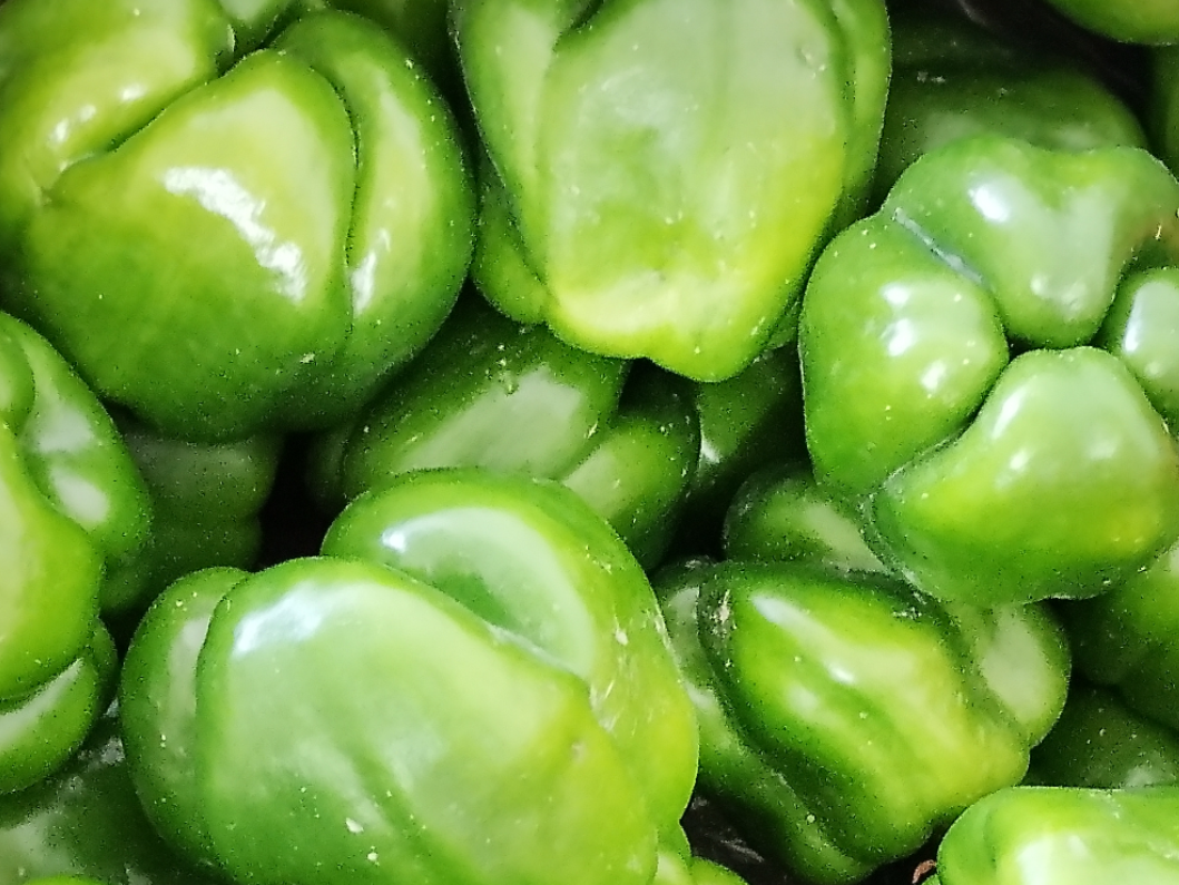 PIMIENTO VERDE