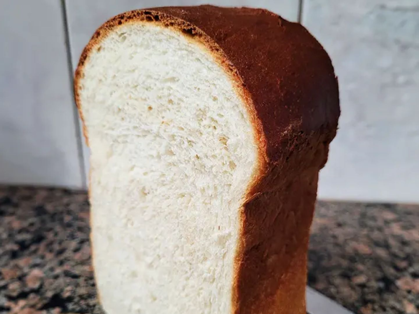 Molde Blanco con Semilla