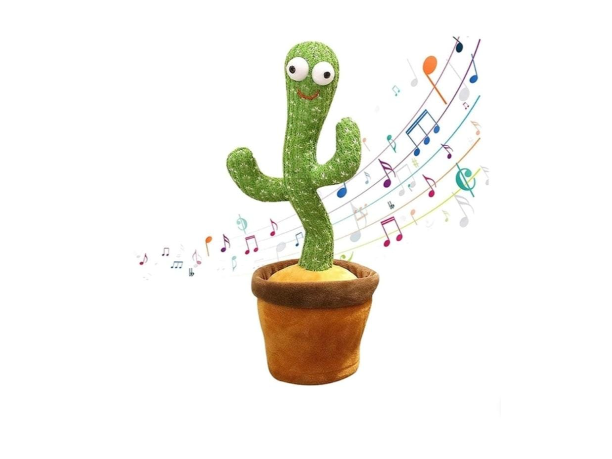 Cactus bailarín