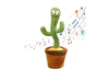 Cactus bailarín