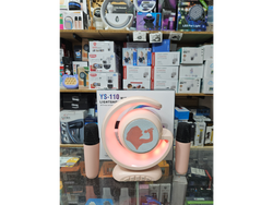 Parlante karaoke con 2 micrófonos YS-110
