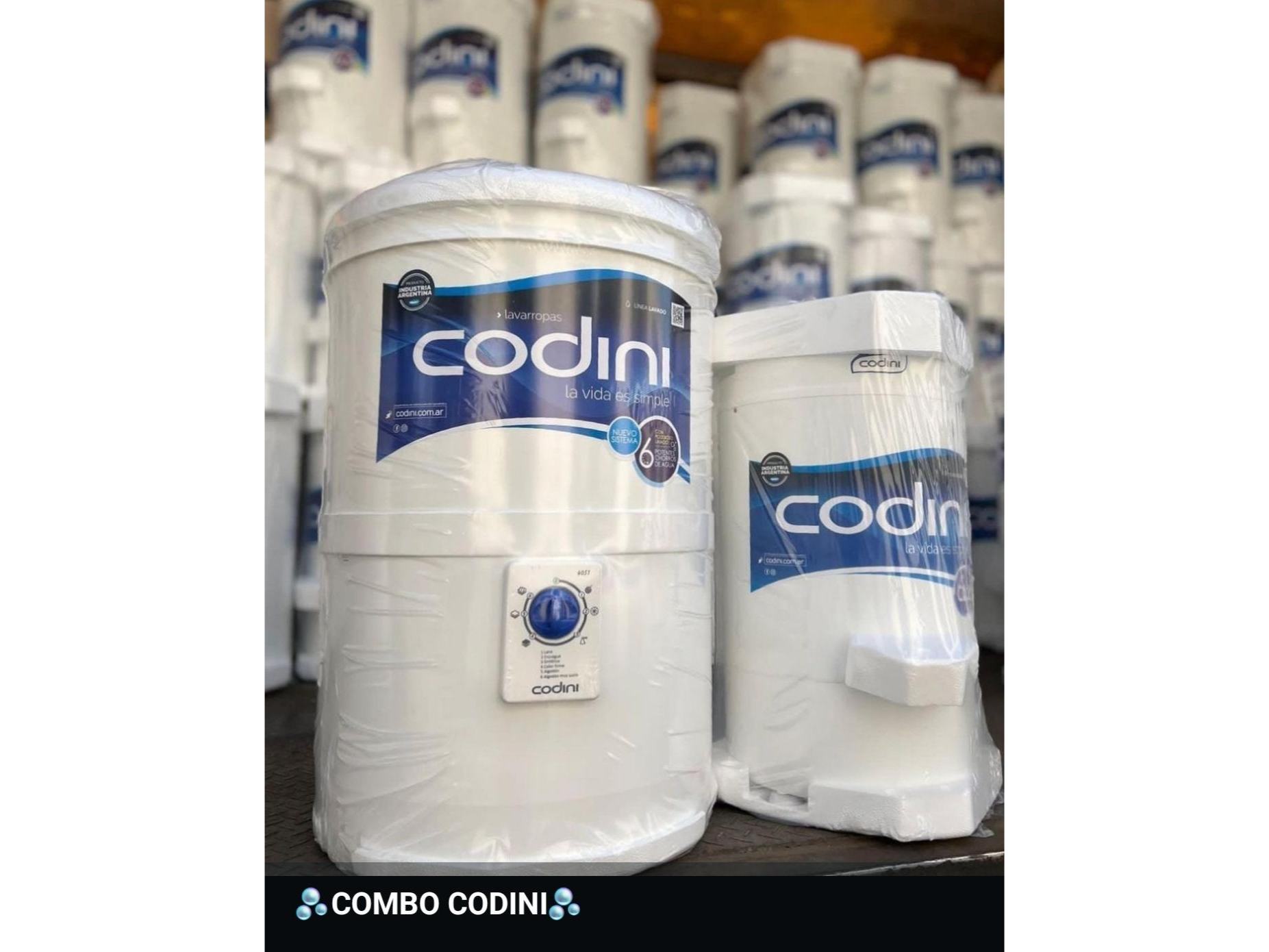 Lavarropas y secarropas codini