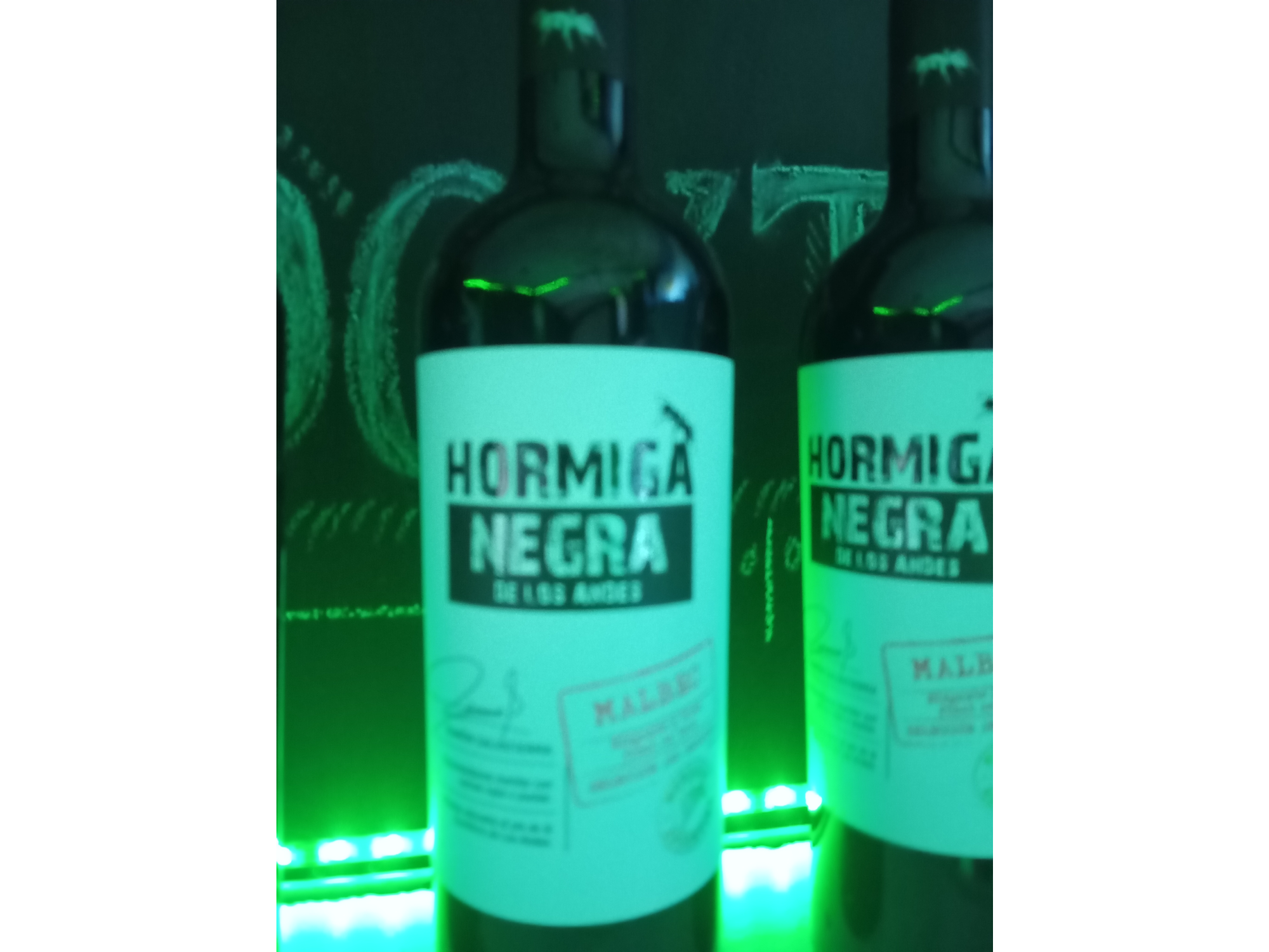 Hormiga Negra