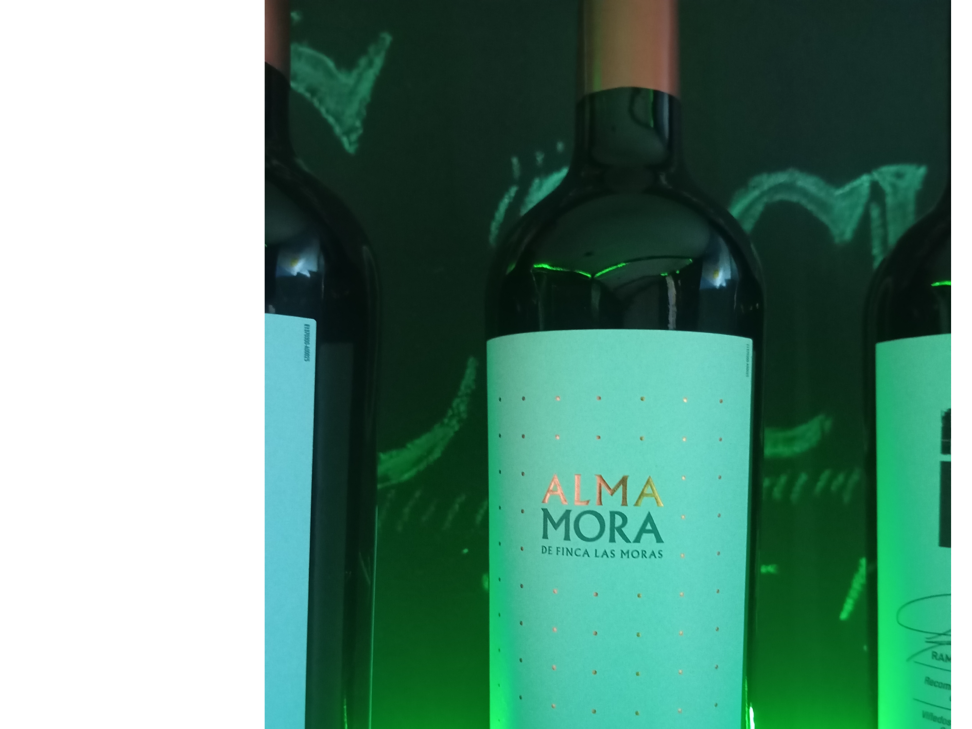 Finca las moras