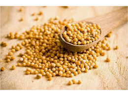 MOSTAZA EN GRANO