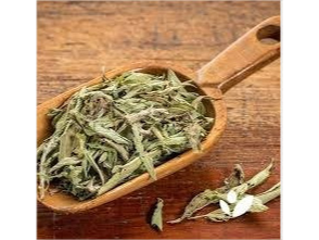 STEVIA EN HOJAS