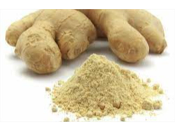 JENGIBRE EN POLVO