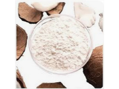 LECHE DE COCO EN POLVO