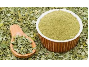 MORINGA EN HOJAS