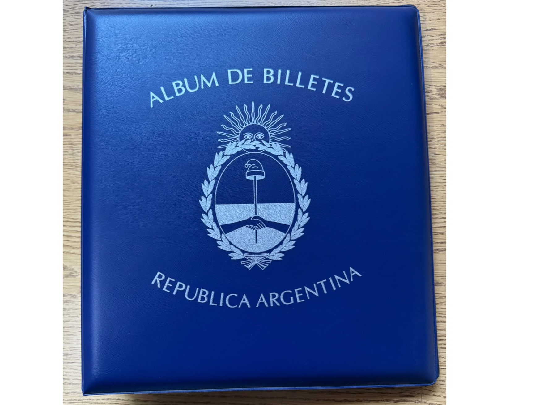 CARPETA GRANDE CON LOGO - TAPAS ACOLCHADAS