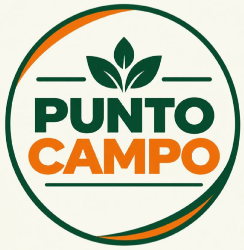 Logo Punto Campo