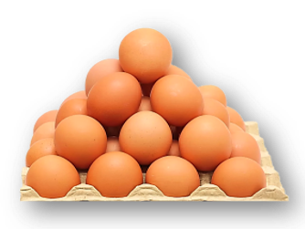 HUEVOS COLOR N4 X MAPLE
