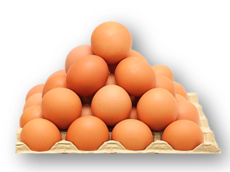 HUEVOS COLOR N2 X MAPLE