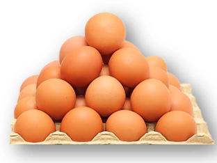 HUEVOS COLOR N1 X MAPLE