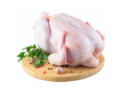 POLLO ENTERO N° 6 CONGELADO - Sierra -X 20KG