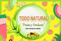 Logo Todo Natural