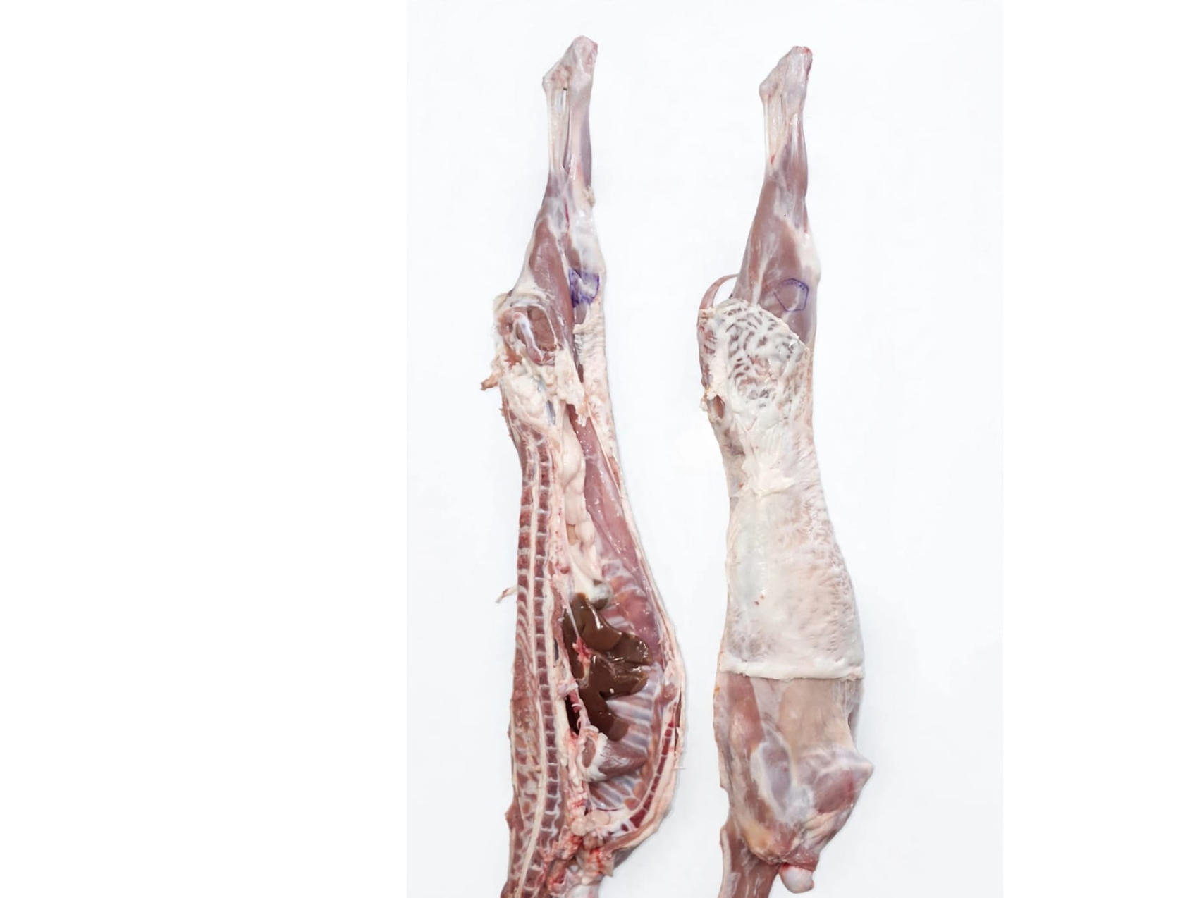 1/2 Cabrito