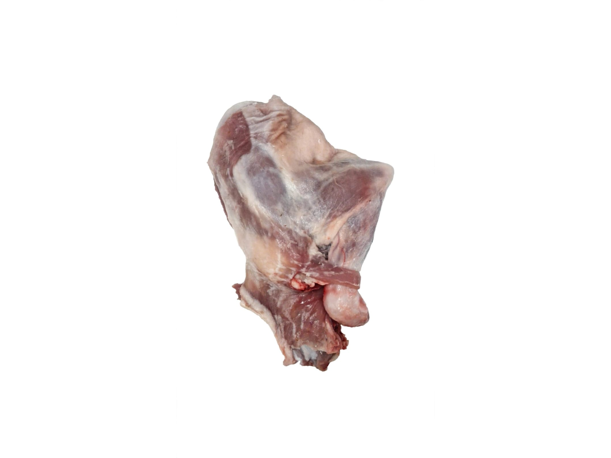 Paleta de Cabrito