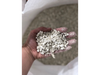 Piedras sanitarias 20 kilos