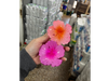 Broche Hawaii