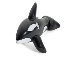 Orca