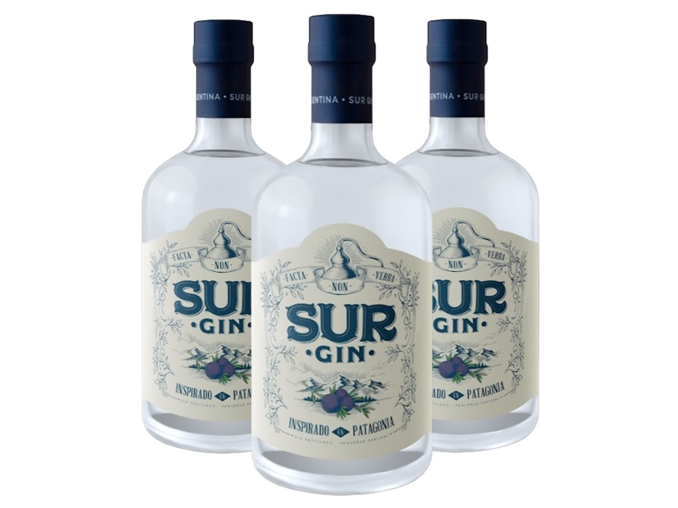 GIN SUR * COMBINALO COMO QUIERAS****