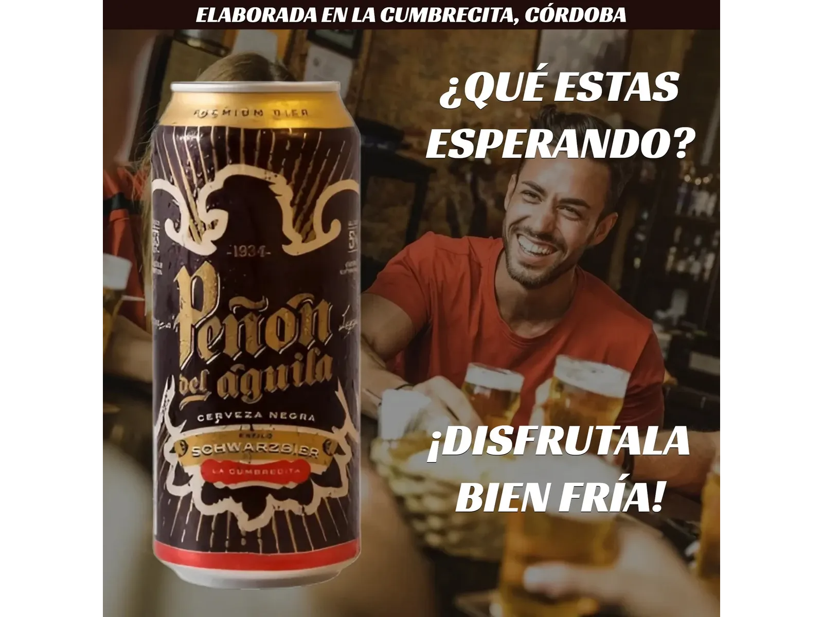 Peñon Del Aguila Negra Schwarzbier Artesanal Lata 473ml