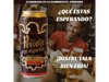 Peñon Del Aguila Negra Schwarzbier Artesanal Lata 473ml