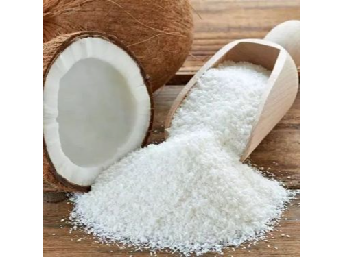 COCO RALLADO X 1OO GR