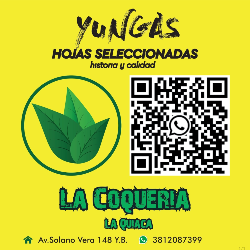 Logo de Yungas hojas seleccionadas