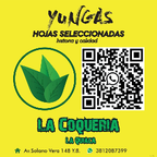 Logo de Yungas hojas seleccionadas