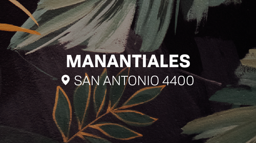 Teppanyaki Manantiales