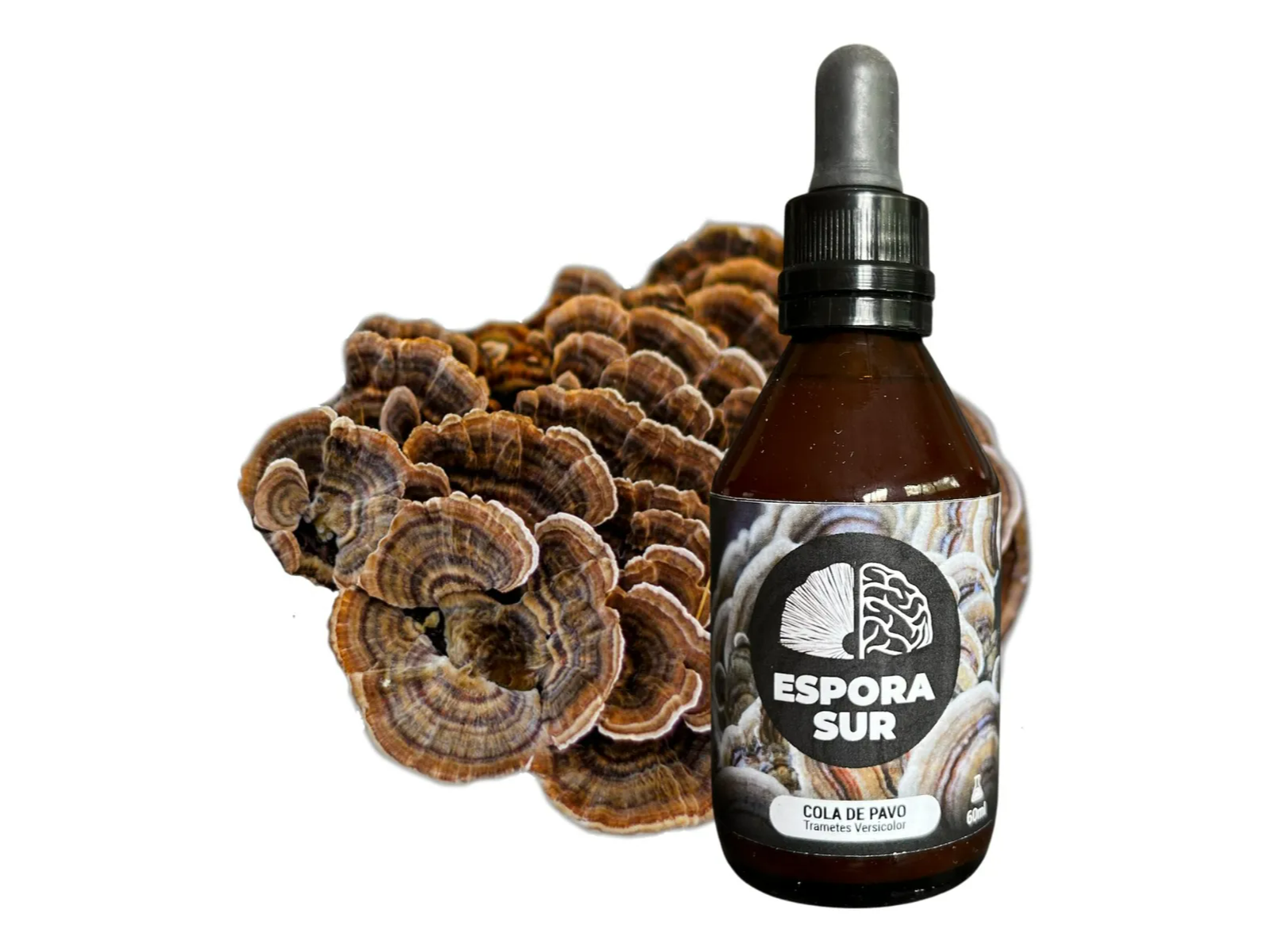Cola de Pavo
