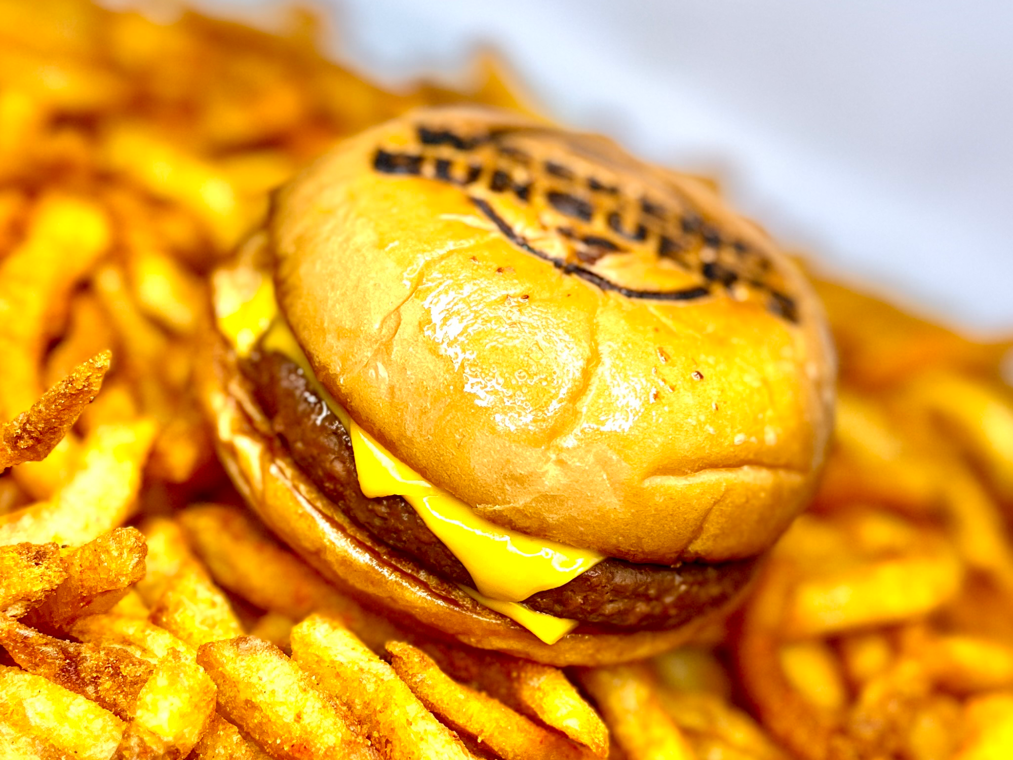 NOT BURGUER SOLO QUESO SIMPLE