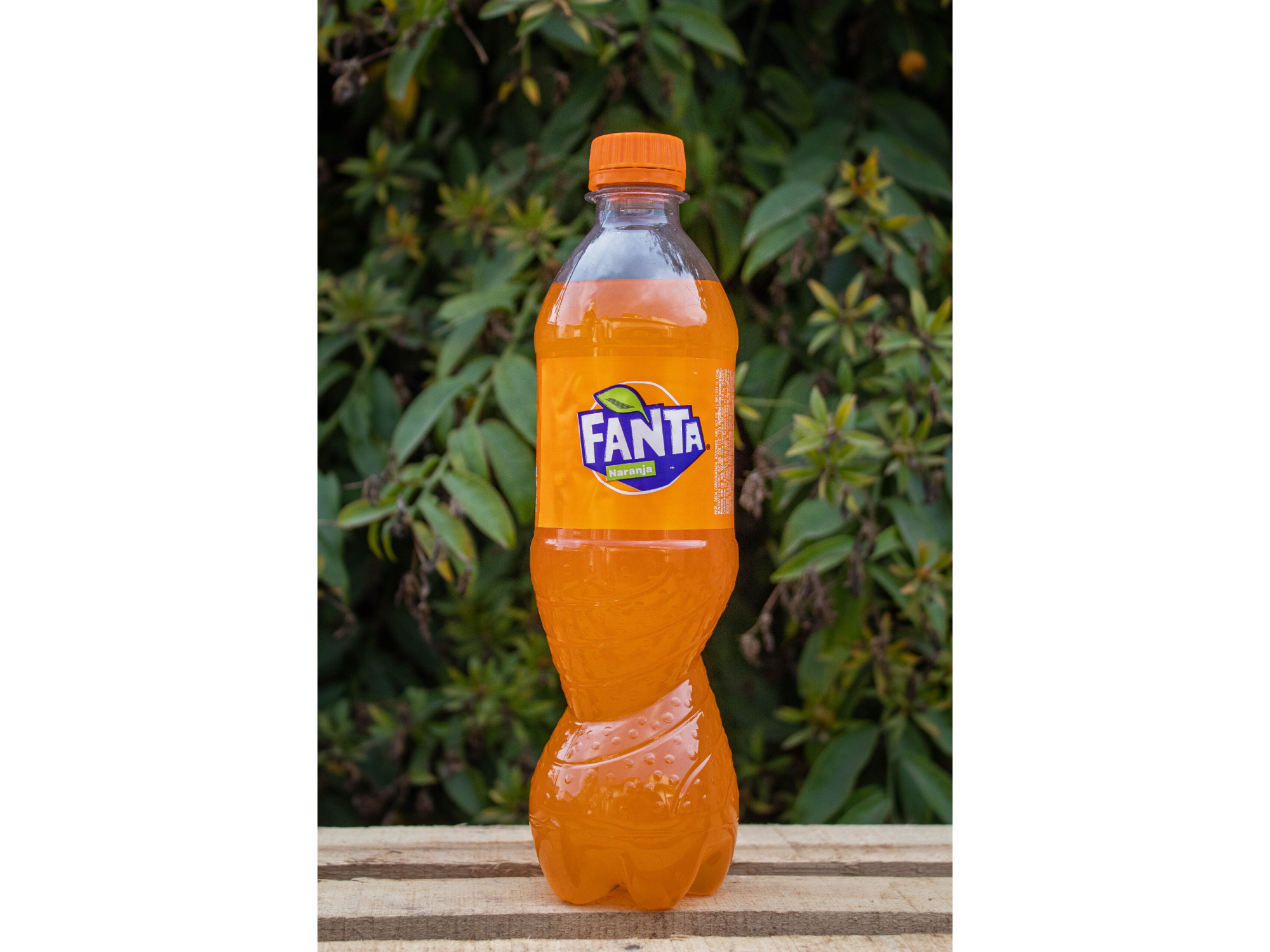 FANTA 500CC