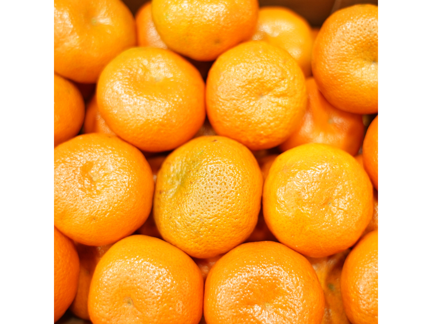 MANDARINA CRIOLLA