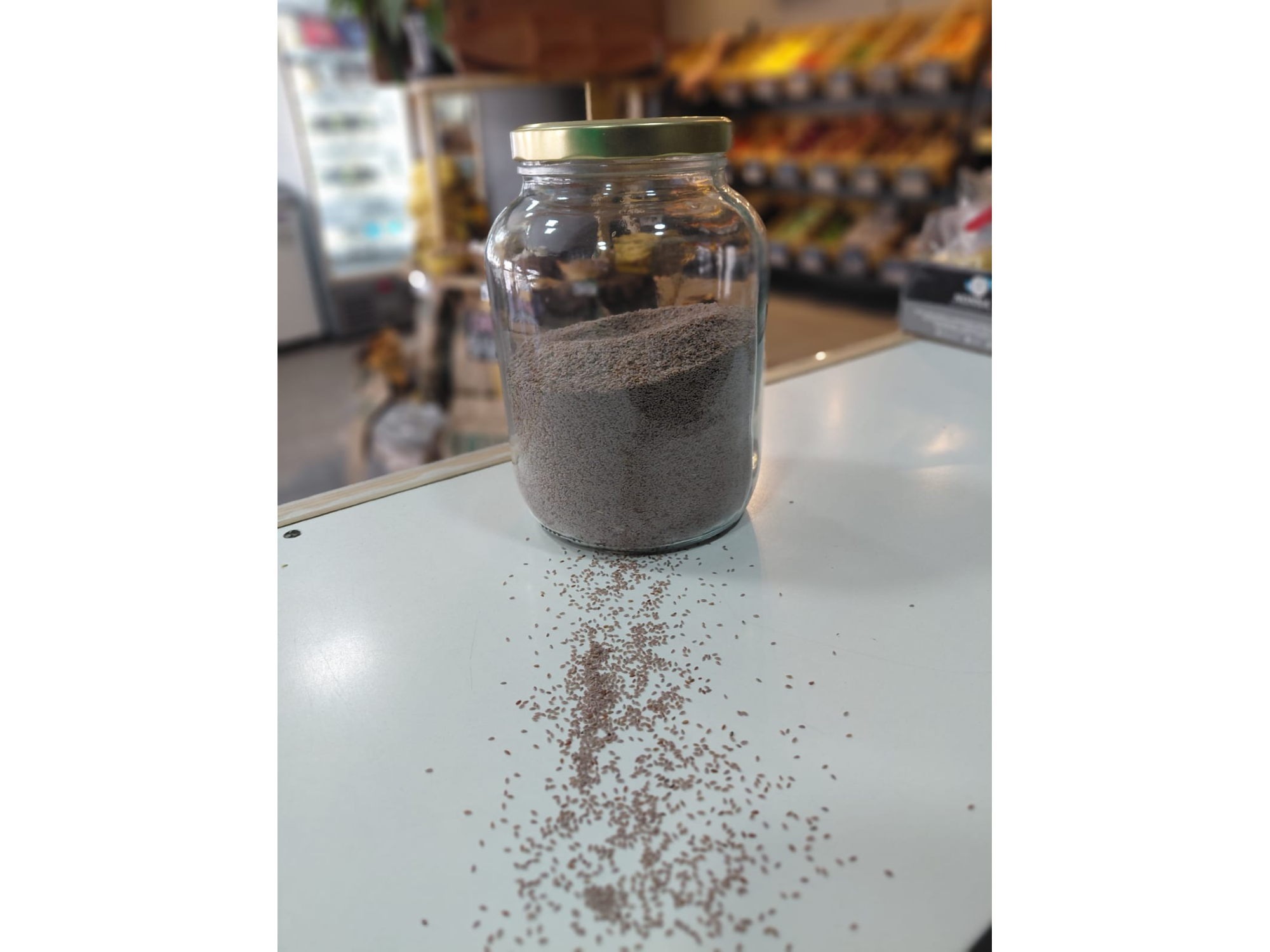 SEMILLAS DE PSYLLIUM
