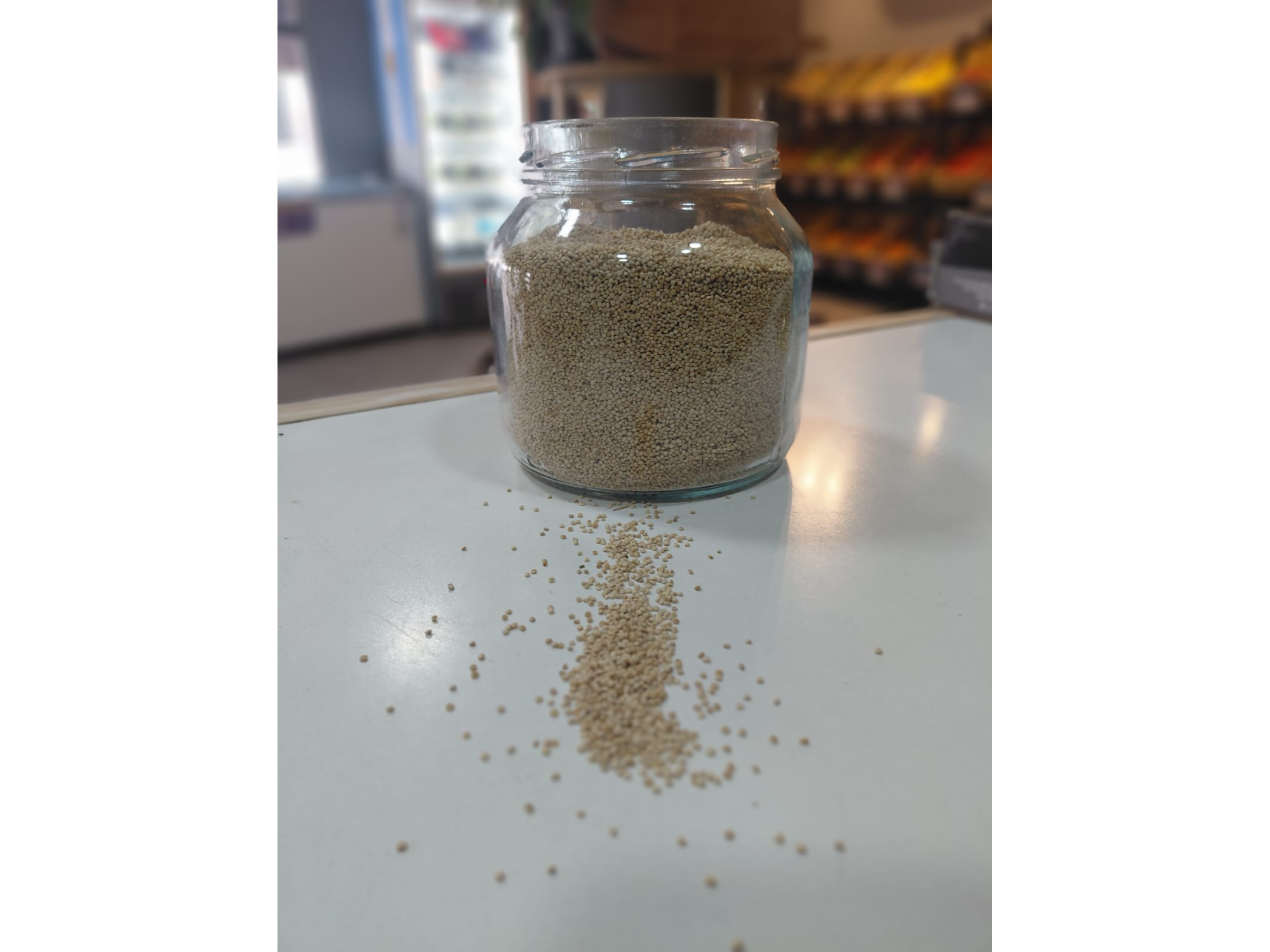 SEMILLAS DE QUINOA