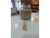 SEMILLAS DE QUINOA