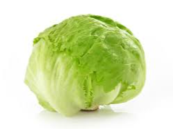 LECHUGA REPOLLADA