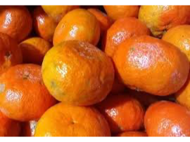 MANDARINA ENCORE