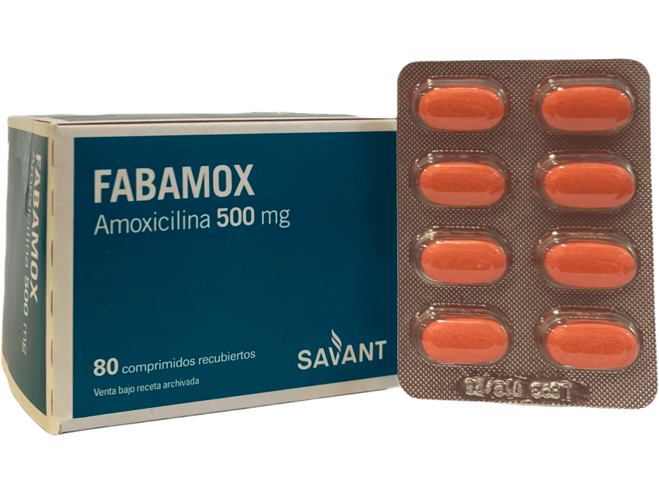 AMOXICILINA 500