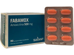 AMOXICILINA 500