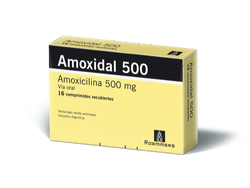 AMOXIDAL 500