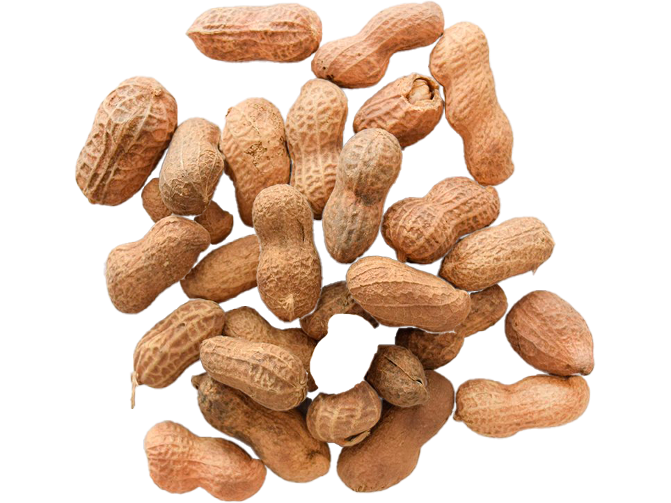 MANI C/CASCARA X 50 GR