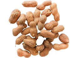 MANI C/CASCARA X 50 GR