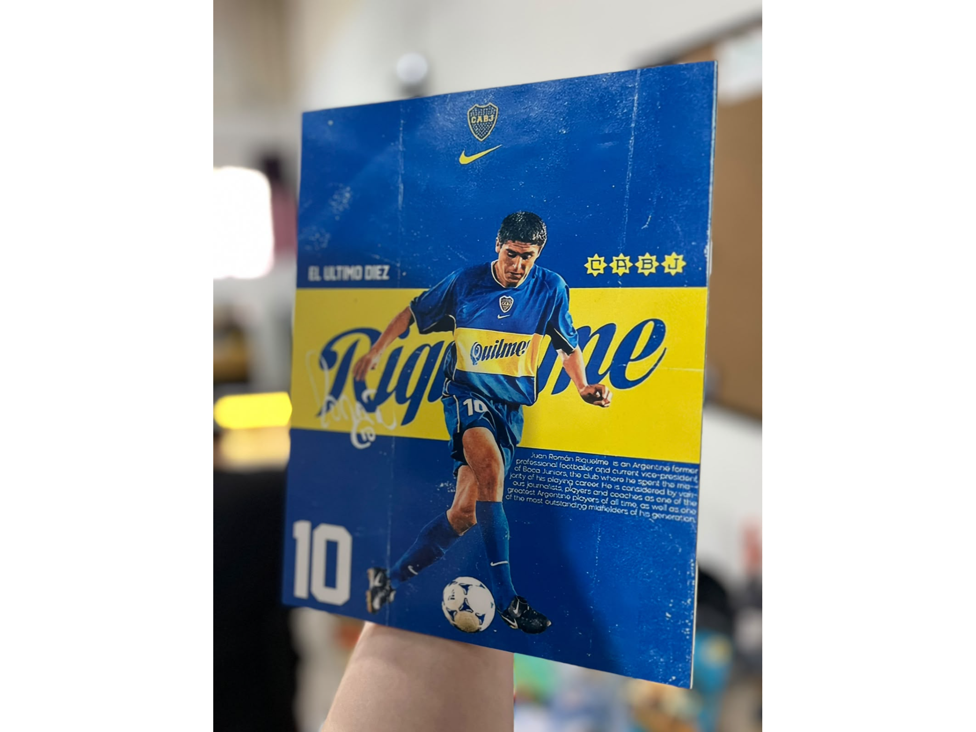 Cuadro " Riquelme"